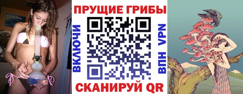 Галлюциногенные грибы Magic Shrooms  Вольск 