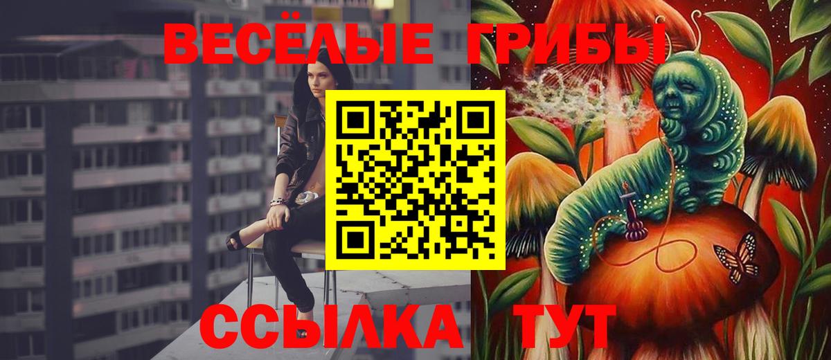 Псилоцибиновые грибы Psilocybe  Вход с VPN  Вольск  Псилоцибиновые грибы Psilocybe 