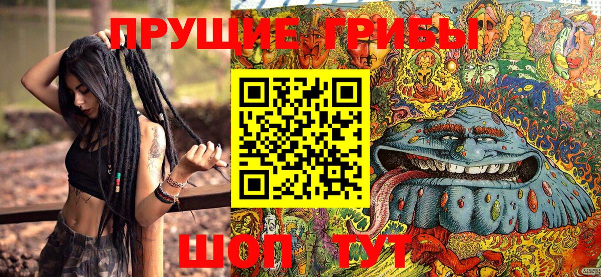 Псилоцибиновые грибы Psilocybine cubensis Вольск