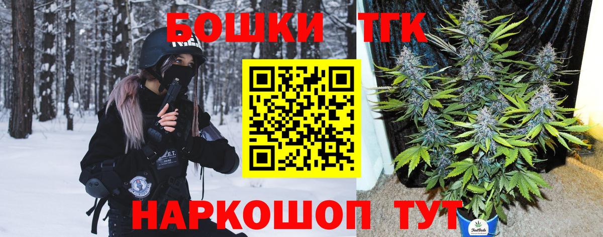 Бошки Шишки планчик Вольск
